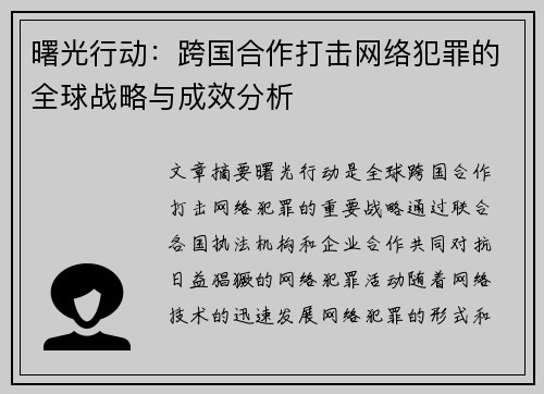 曙光行动:跨国合作打击网络犯罪的全球战略与成效分析 曙光行动:跨国合作打击网络犯罪的全球战略与成效分析